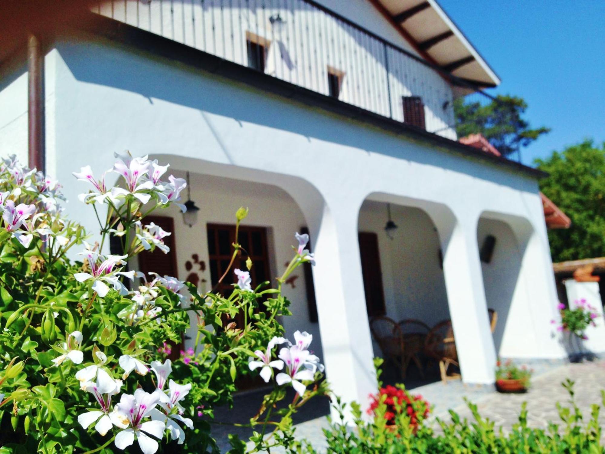 B&B Villa Incrocca Cerreto dʼEsi Esterno foto